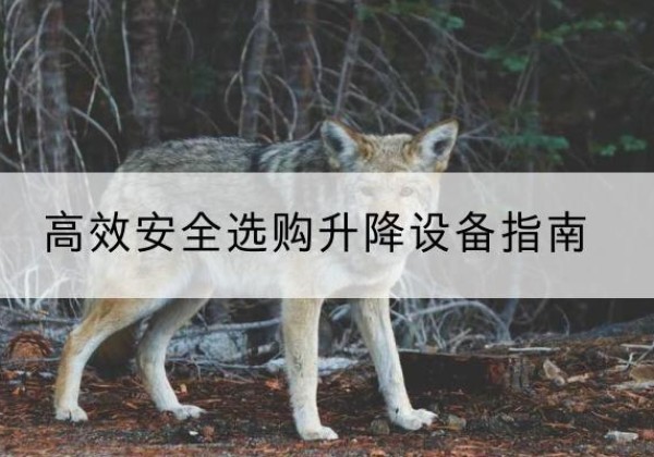 牡丹升降货梯厂家推荐-*安全选购升降设备指南