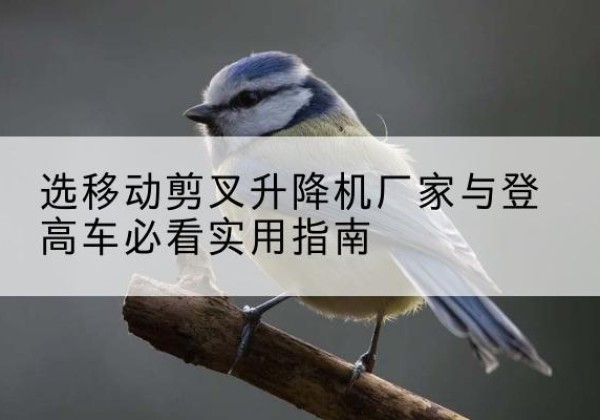 牡丹电动升降机厂家-选移动剪叉升降机厂家与登高车必看实用指南
