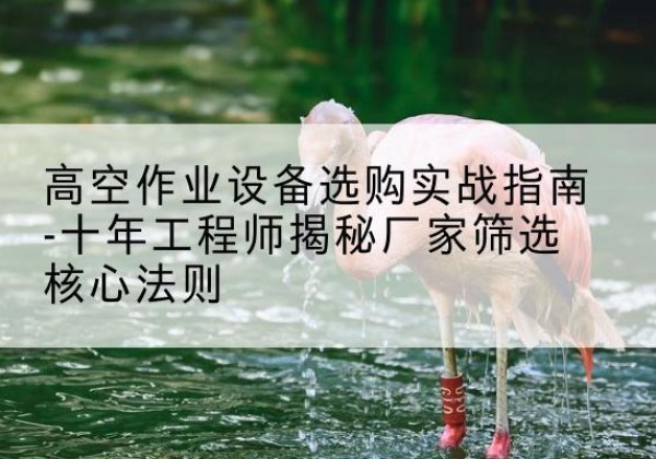 牡丹剪叉式升降机厂家-高空作业设备选购实战指南-十年工程师揭秘厂家筛选核心法则